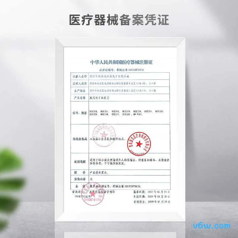 KANG HUA BSX318血压计图片