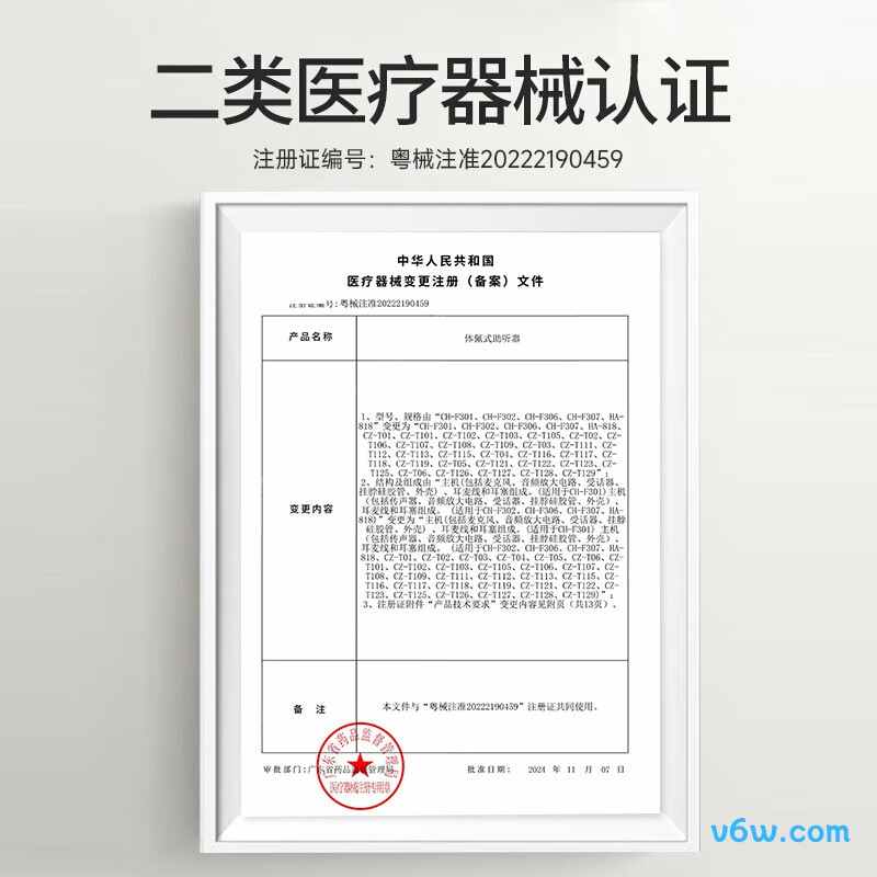 未来客CZ-T05助听器图片