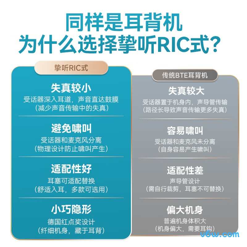 挚听Dion TWS 3助听器图片