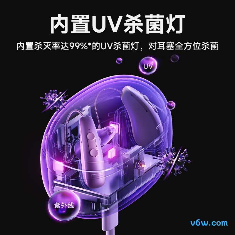 挚听Dion TWS 6助听器图片