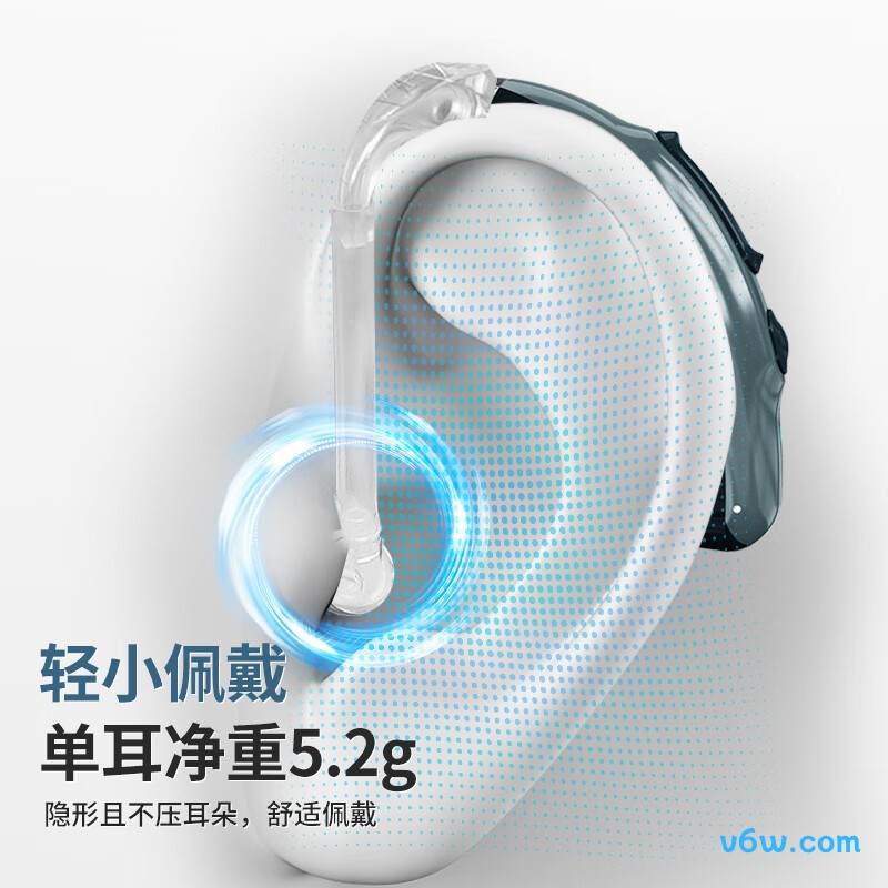 邦力健D-501A助听器图片