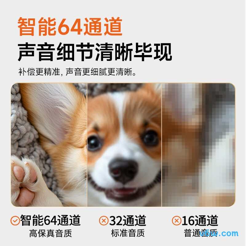 未来客ZT-G01助听器图片