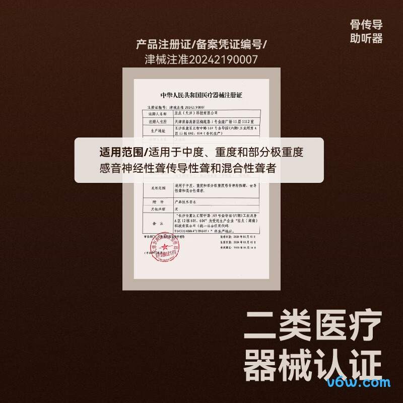 左点ZD-TJGD202助听器图片