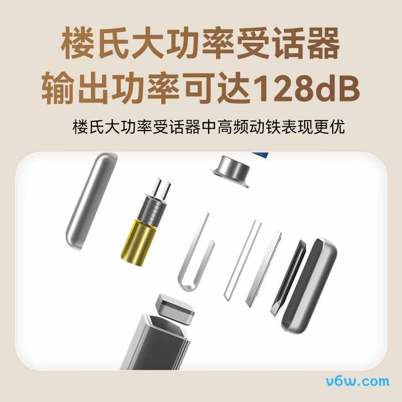 挚听Dion TWS 6助听器图片