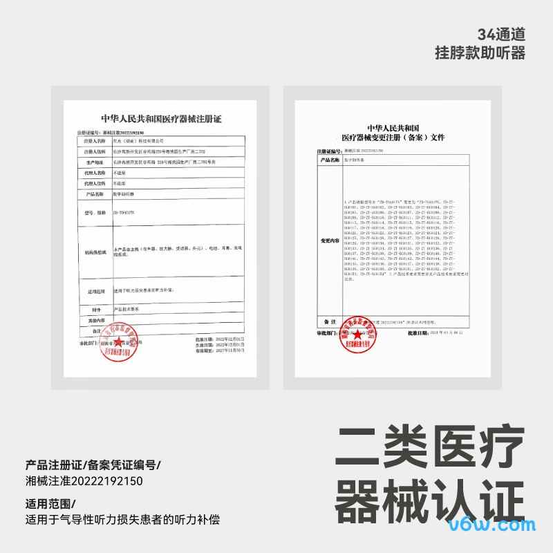 左点ZD-ZT-BG0131助听器图片