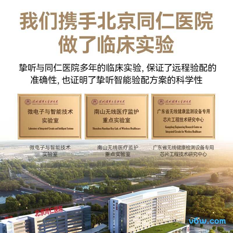 挚听Dion TWS 6助听器图片