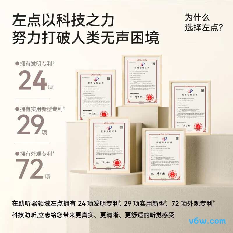 左点ZD-TJGD202助听器图片