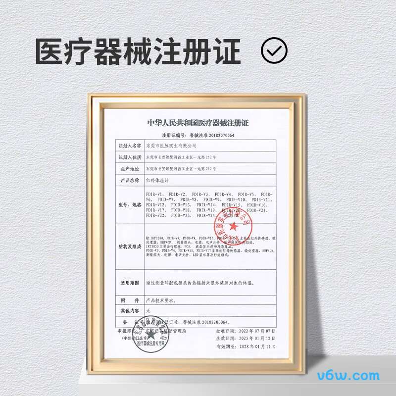 迪赛姆FDIR-V15电子体温计图片