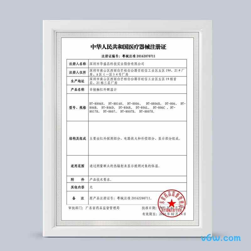 华盛昌DT-806L电子体温计图片