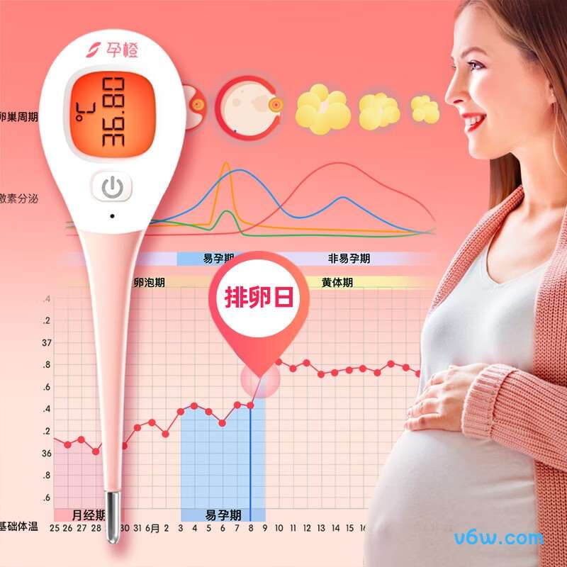 孕橙BT-A74电子体温计图片