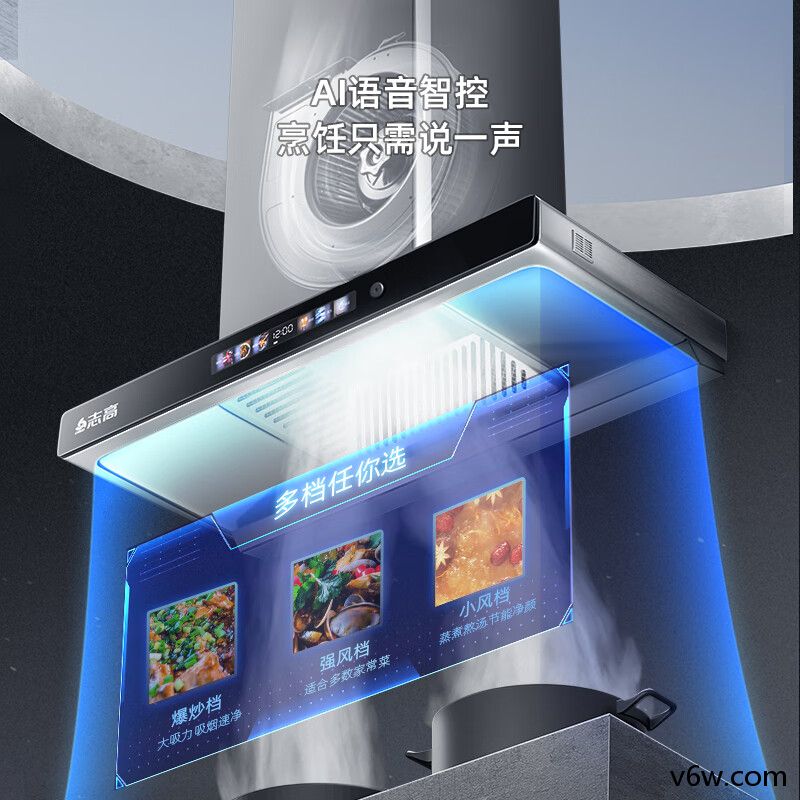 志高CXW-300-T01欧式油烟机图片