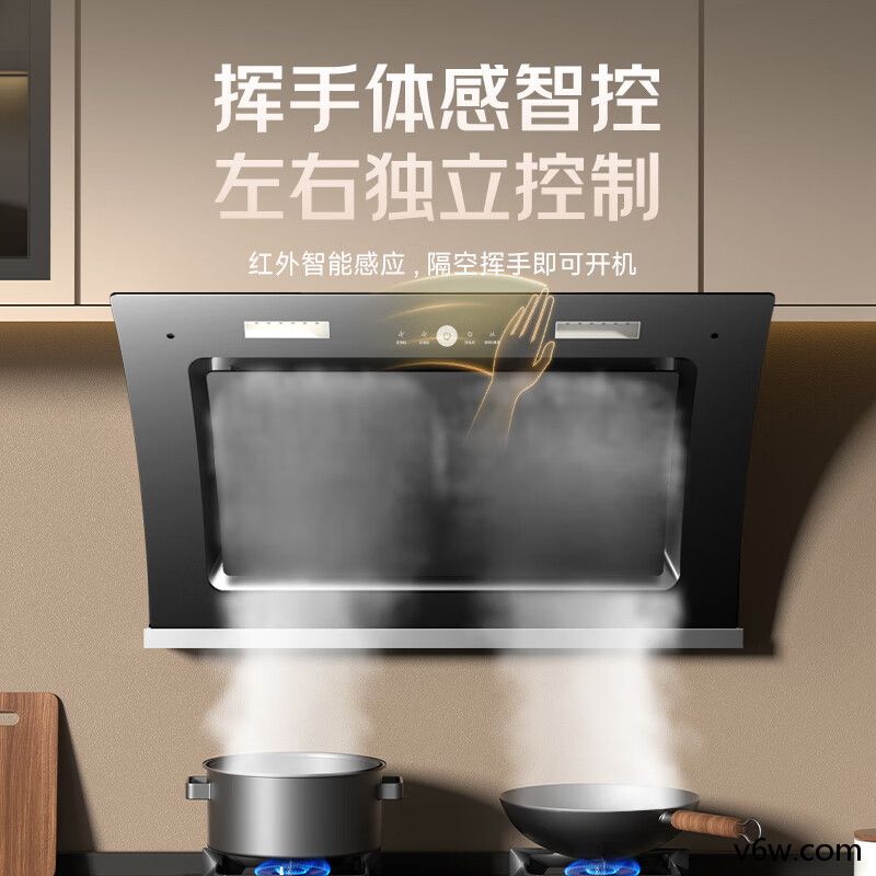 科厨好太太CXW-265-T203侧吸油烟机图片