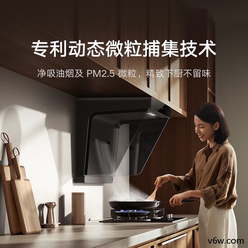 米家CXW-165-MJ05CY