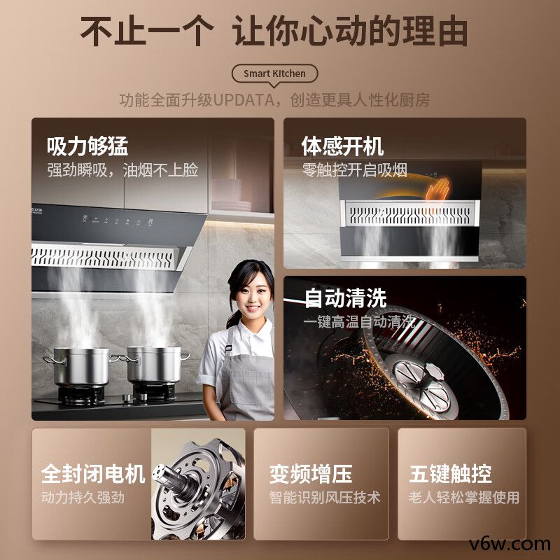 好太太亿美CXW-238-839B侧吸油烟机图片