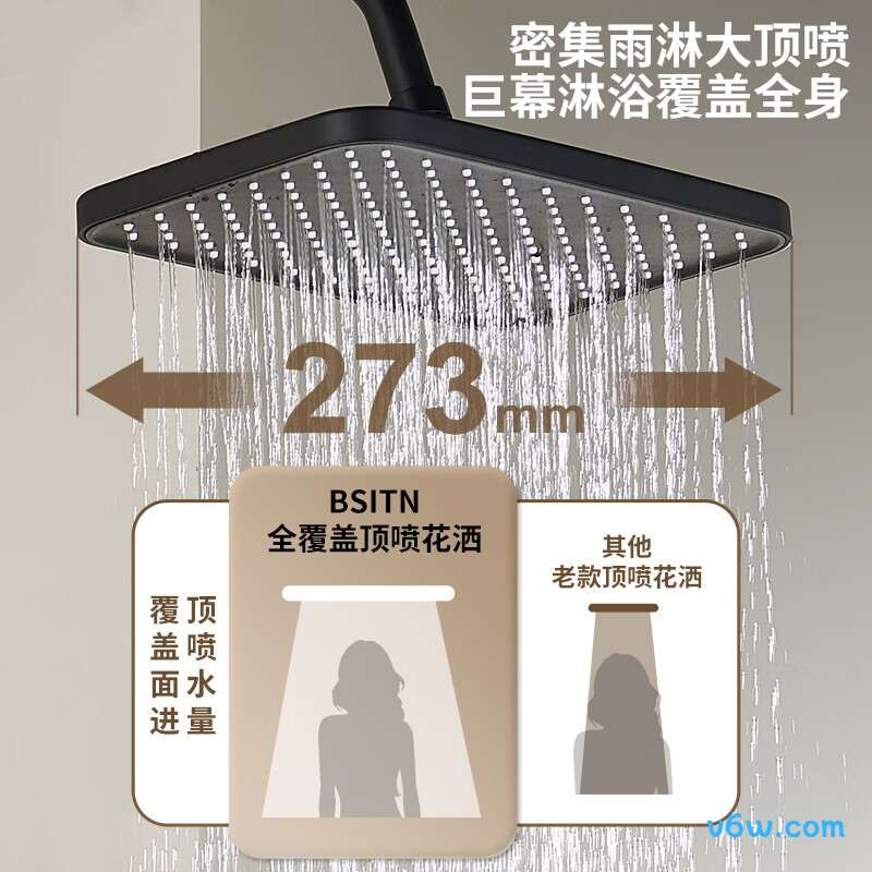 BSITNB1046花洒普通花洒图片