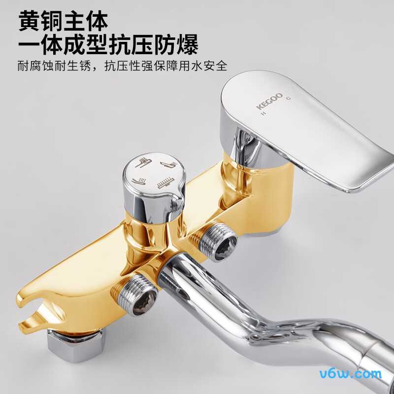 科固K4077花洒普通花洒图片