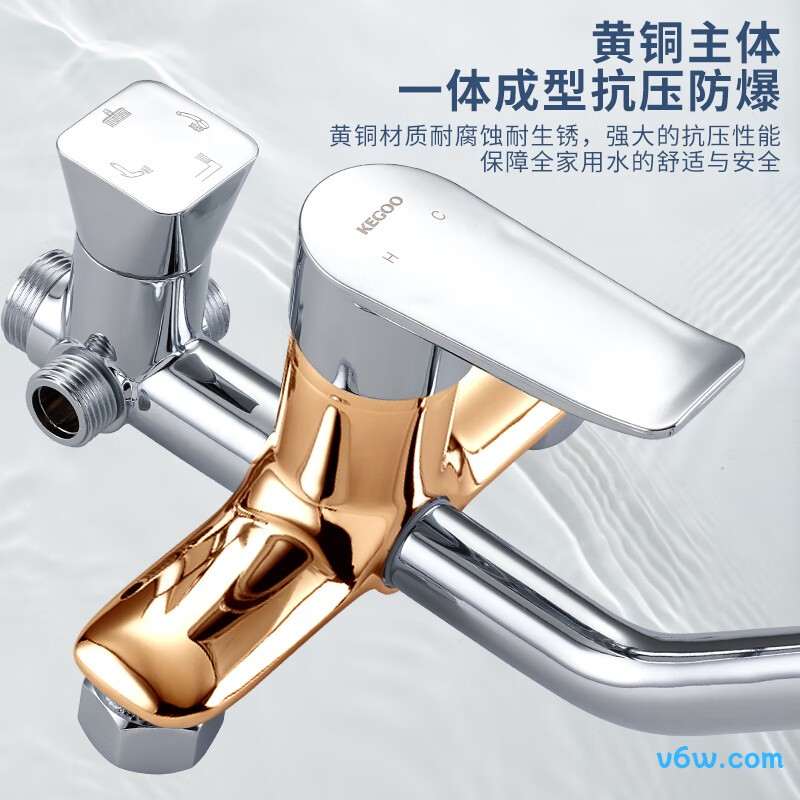 科固K4041花洒普通花洒图片