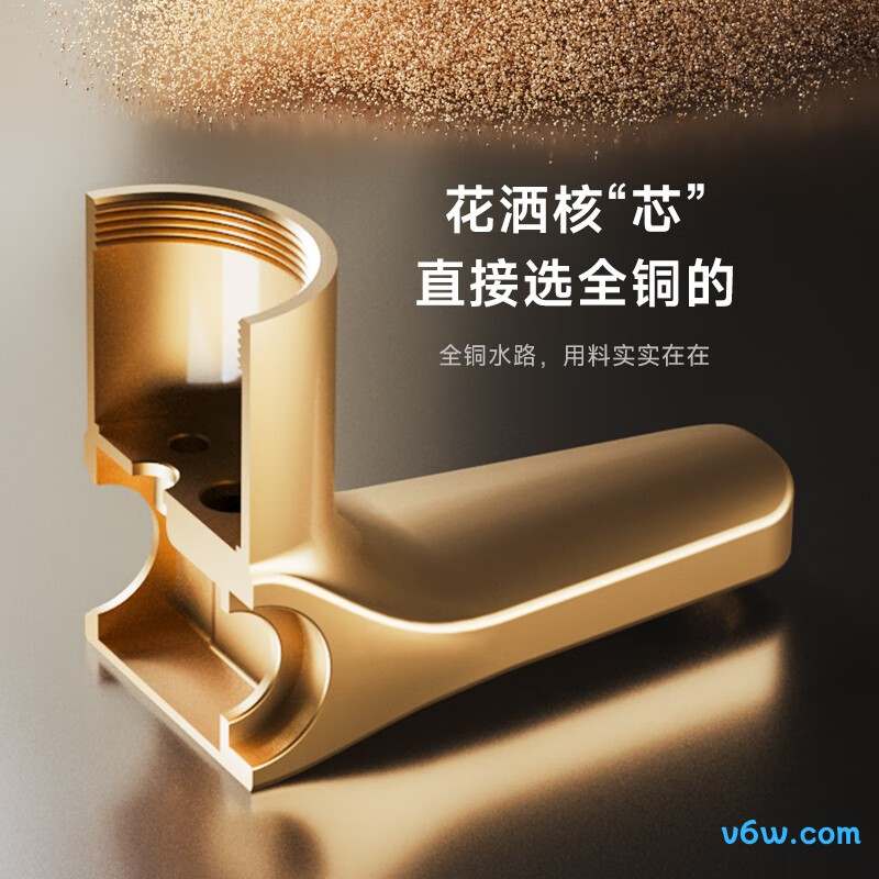 箭牌AE33195SPG花洒普通花洒图片