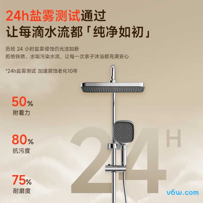 日丰RF-984133QPW花洒普通花洒图片