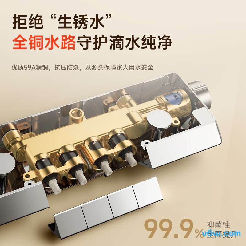 日丰RF-984133QPW花洒普通花洒图片