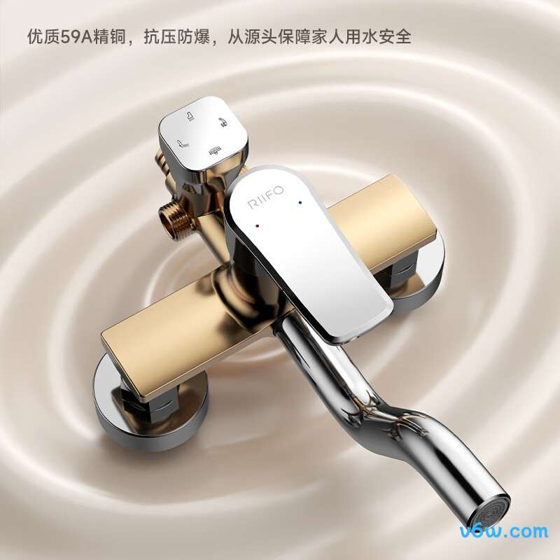 日丰RF-984129GPW花洒普通花洒图片