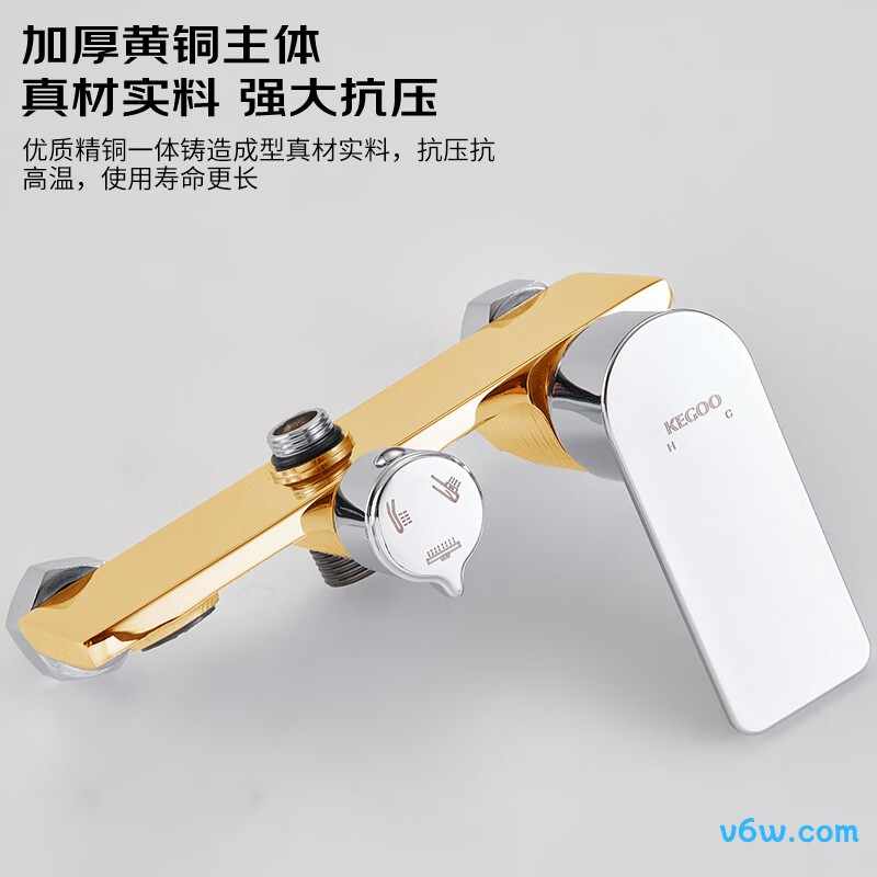 科固K4081花洒普通花洒图片