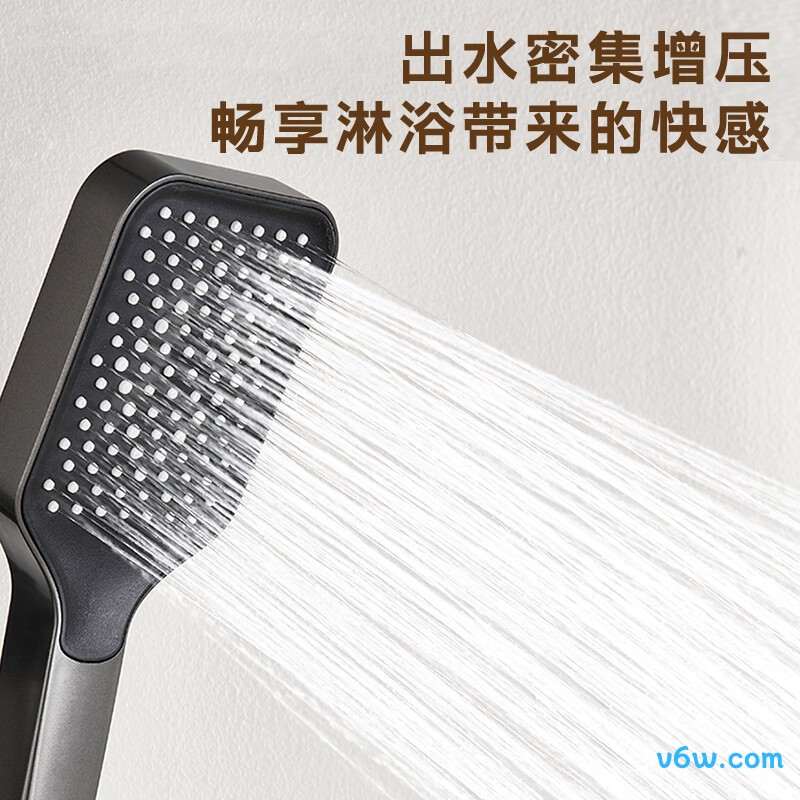 科固K4069花洒普通花洒图片