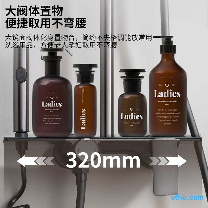 BSITNBH017花洒普通花洒图片