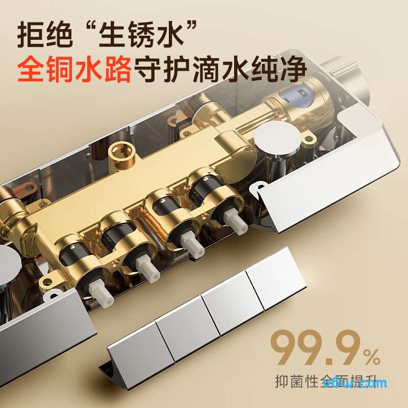 日丰RF-984133GPW花洒普通花洒图片