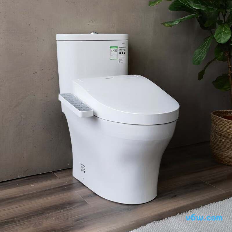 CW802EBT+TCF3F260 400智能马桶图片