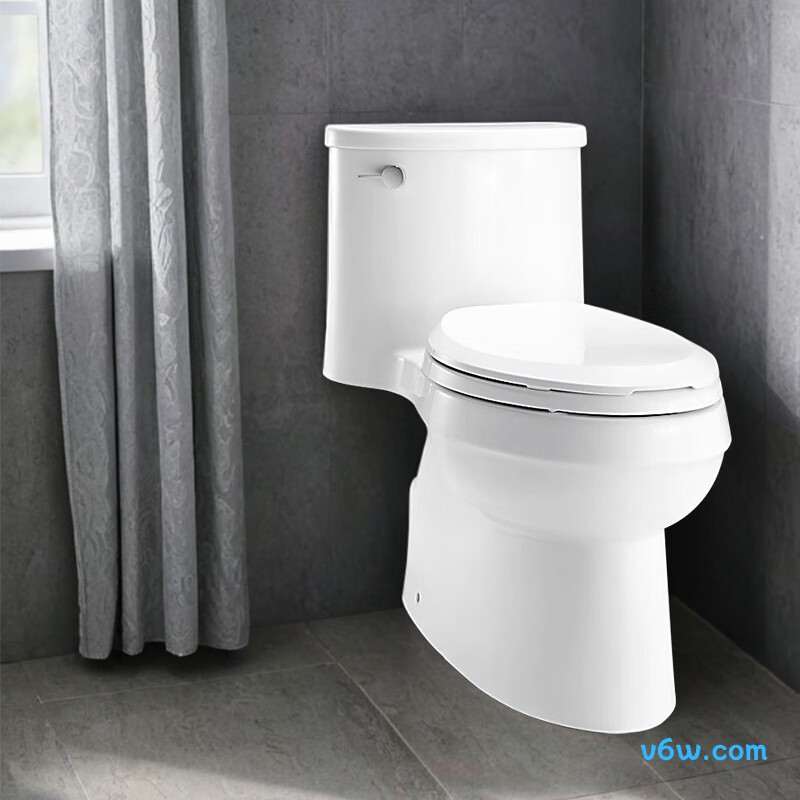 5171T-SE普通马桶图片