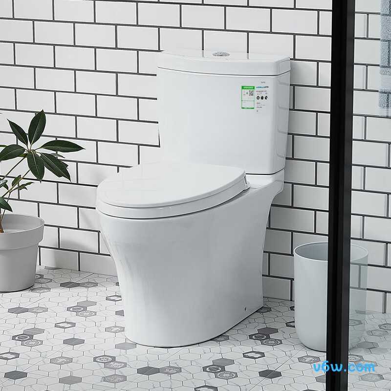 CW982EB 400普通马桶图片