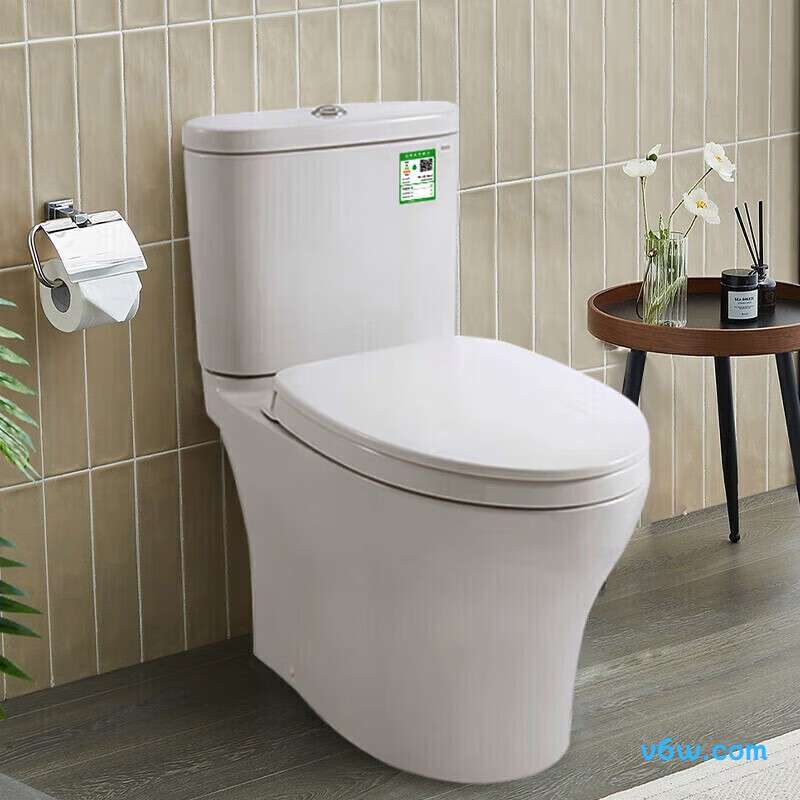 CSW802EBT400普通马桶图片