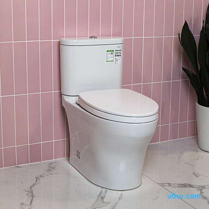 CSW802EBT400普通马桶图片