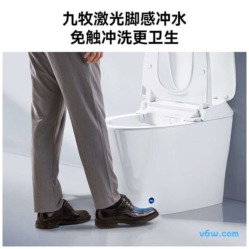 ZS590P-305智能马桶图片