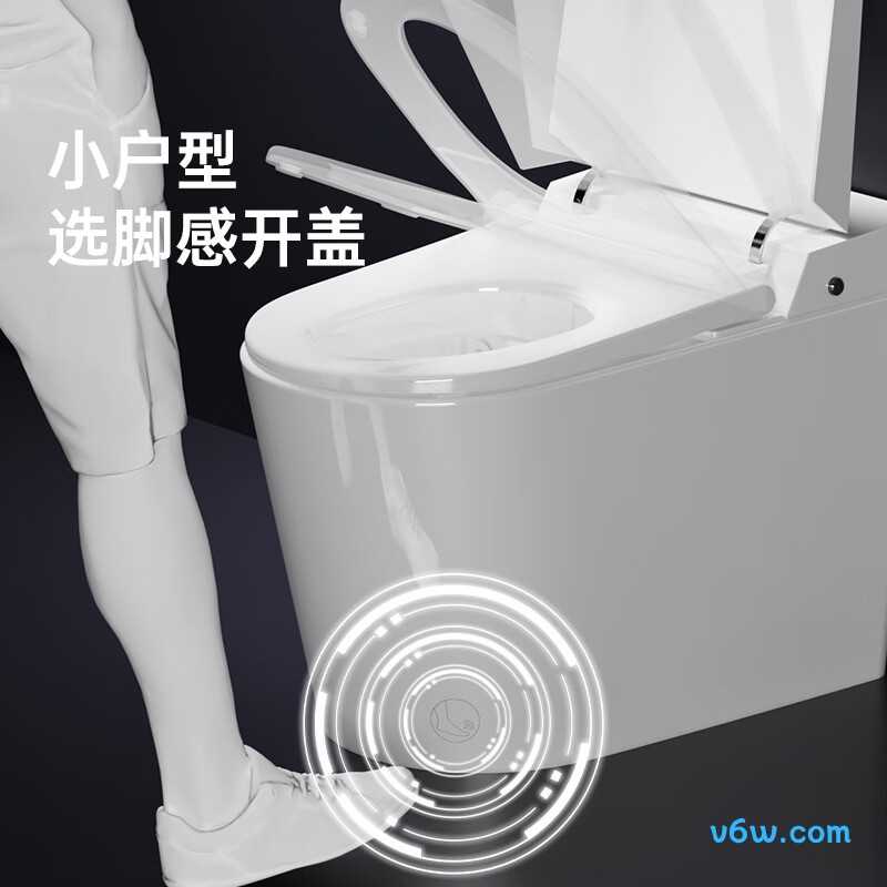 D5-400智能马桶图片