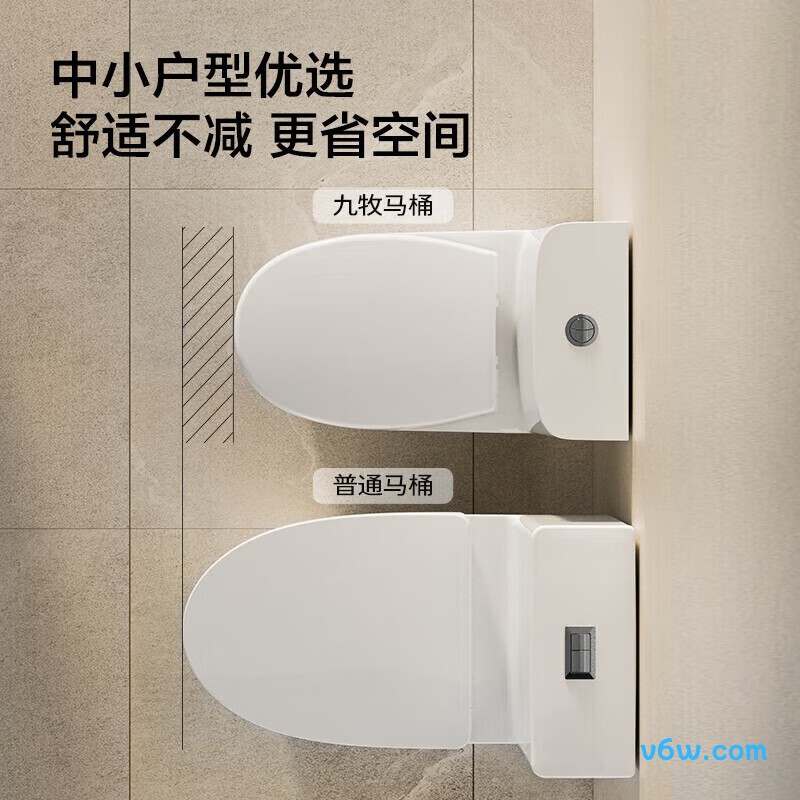 11316-2-1/31K-1普通马桶图片