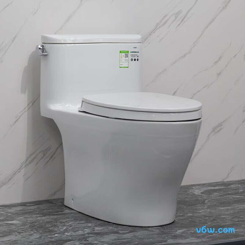 CW887REBT400普通马桶图片