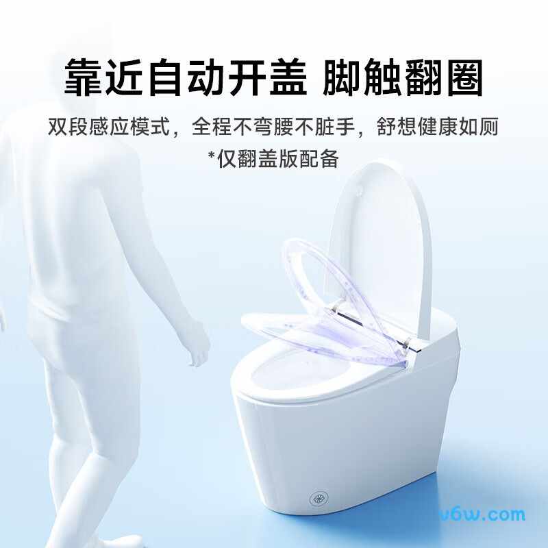 DXMT074-305智能马桶图片