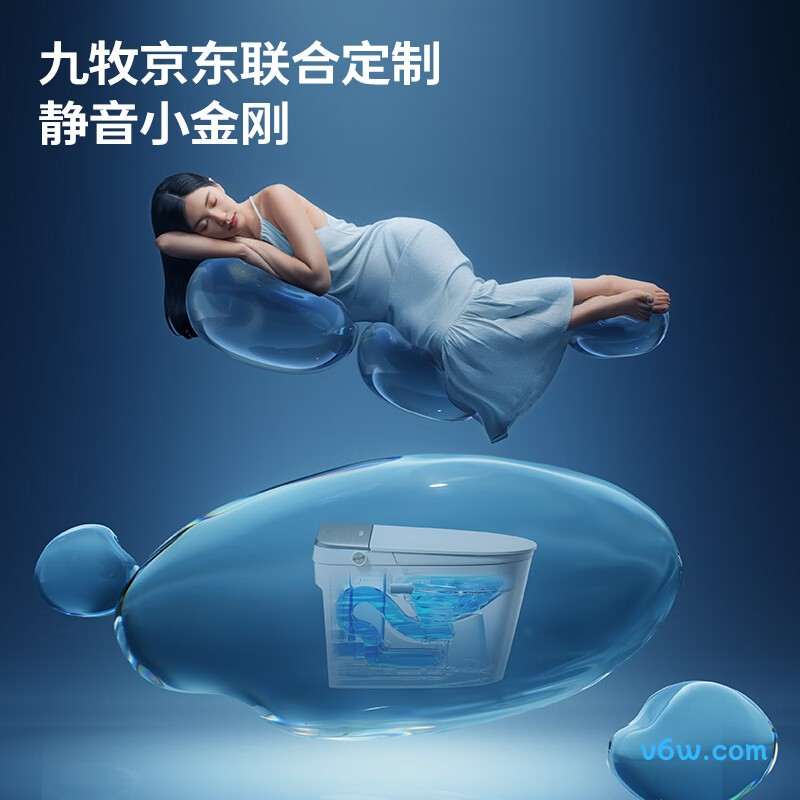 ZS770P-305智能马桶图片