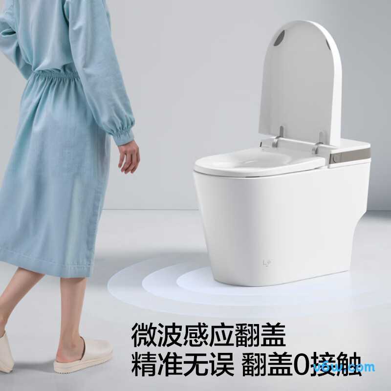 AES1171-PM智能马桶图片