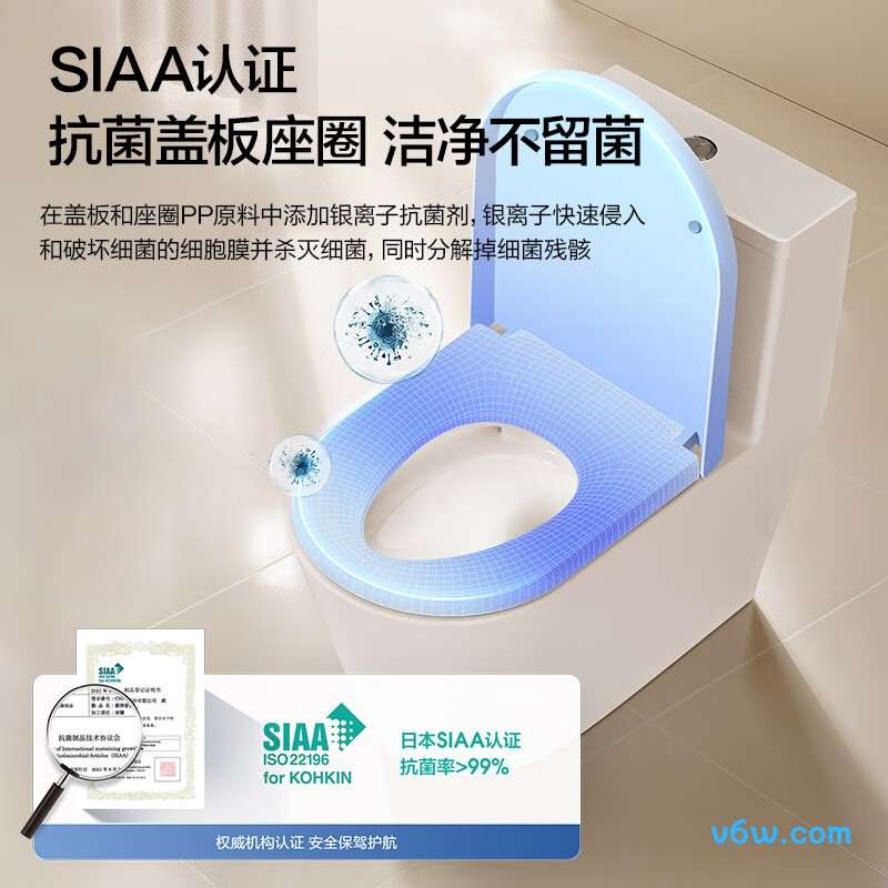 AEB12648M普通马桶图片