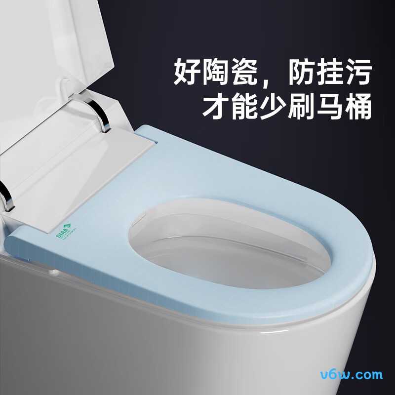 D5-305智能马桶图片