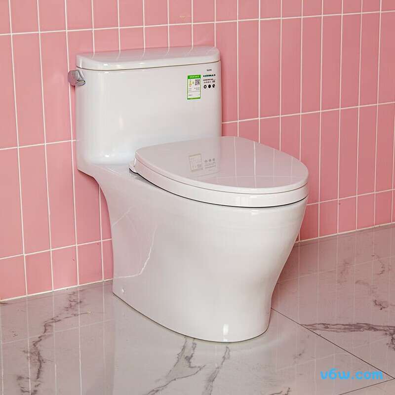 CW887REBT305普通马桶图片