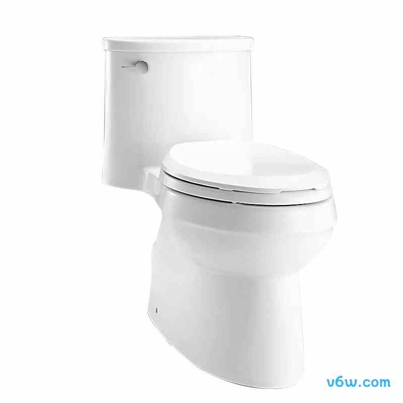 5171T-SE普通马桶图片