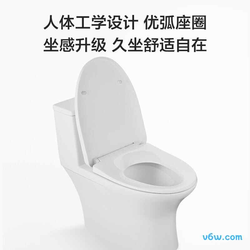 11262  305普通马桶图片