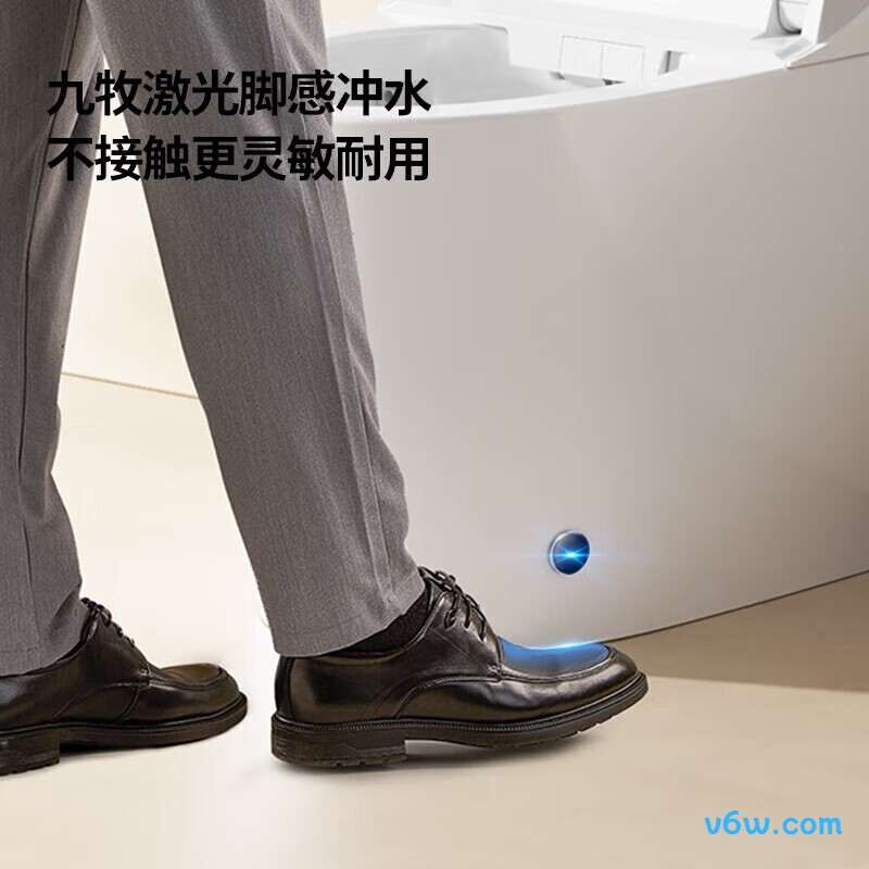 ZS680-305智能马桶图片