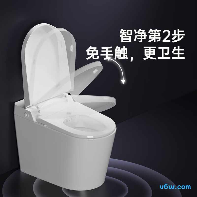 D5-400智能马桶图片