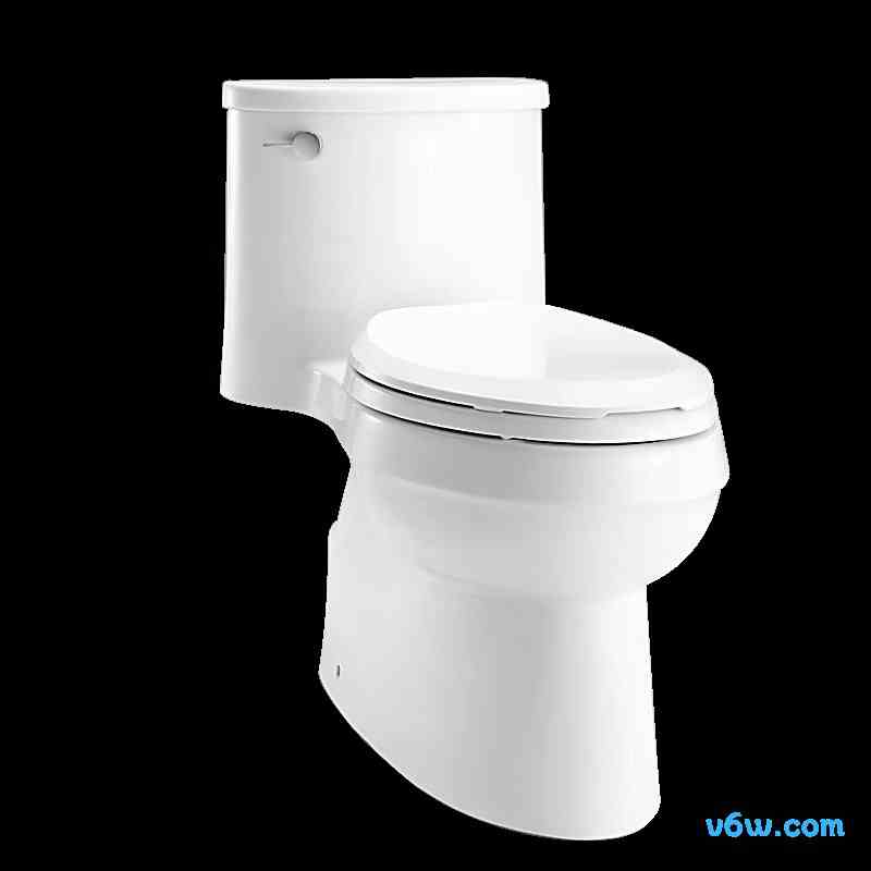 5171T-SE普通马桶图片