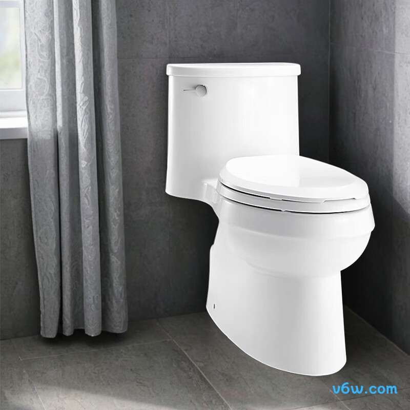 4983T-SE普通马桶图片